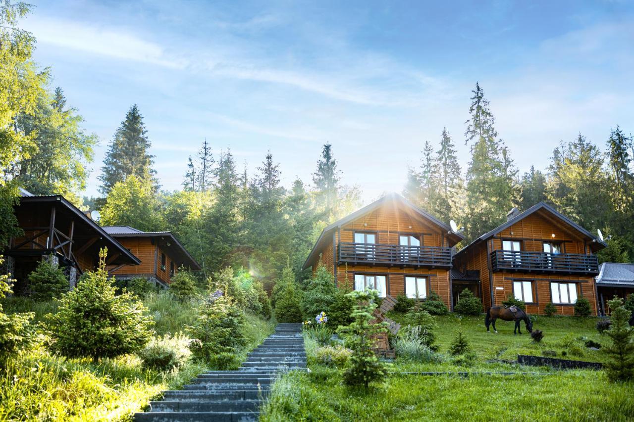 Медовий Двір Rozhanka Nizhnyaya Exterior foto