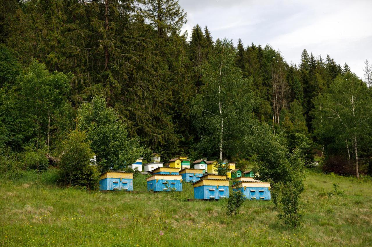Медовий Двір Rozhanka Nizhnyaya Exterior foto